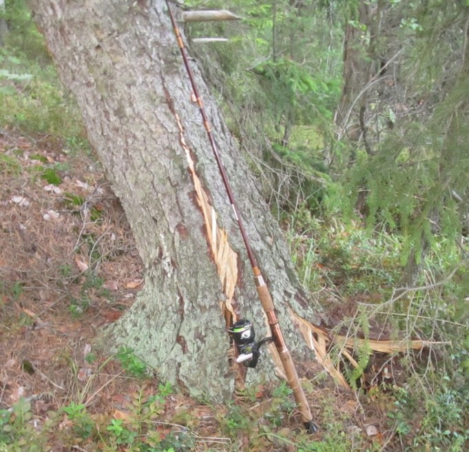 Sport 1590....1........jpg