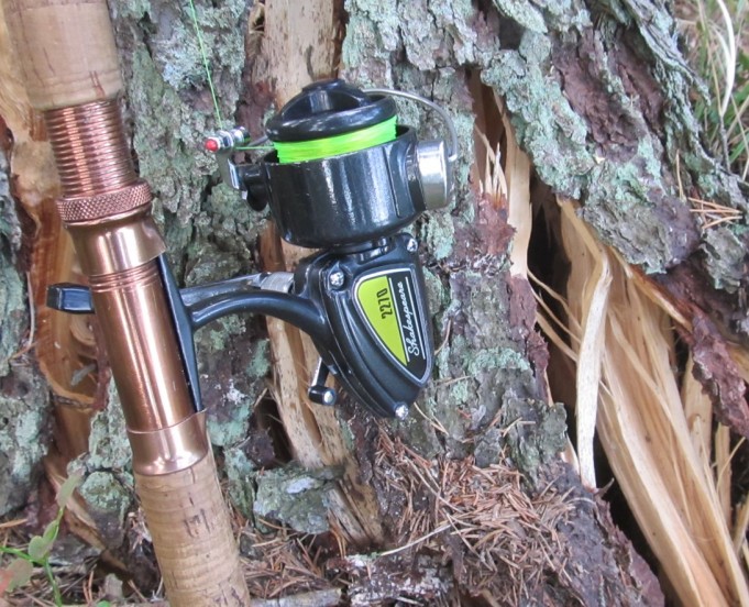 Sport 1590....2........jpg