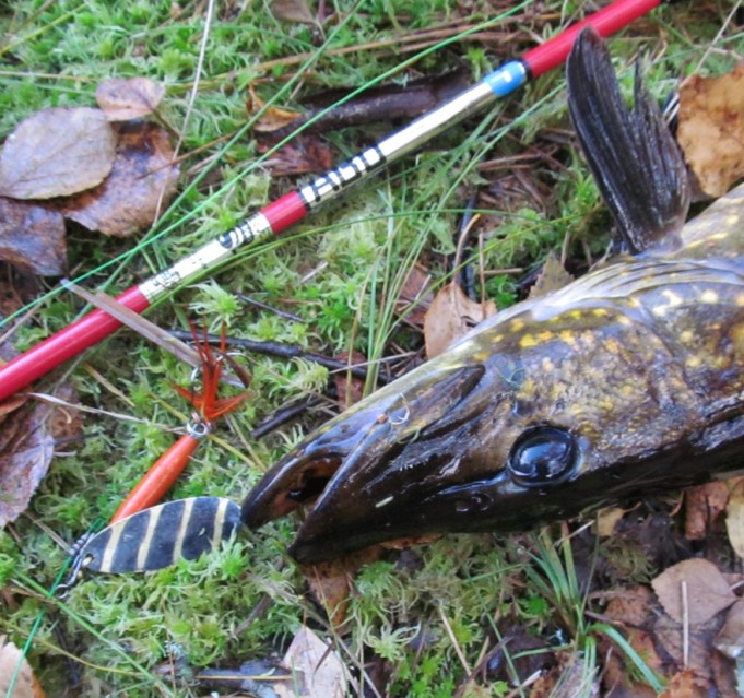 punaisilla lammilla....8.....jpg