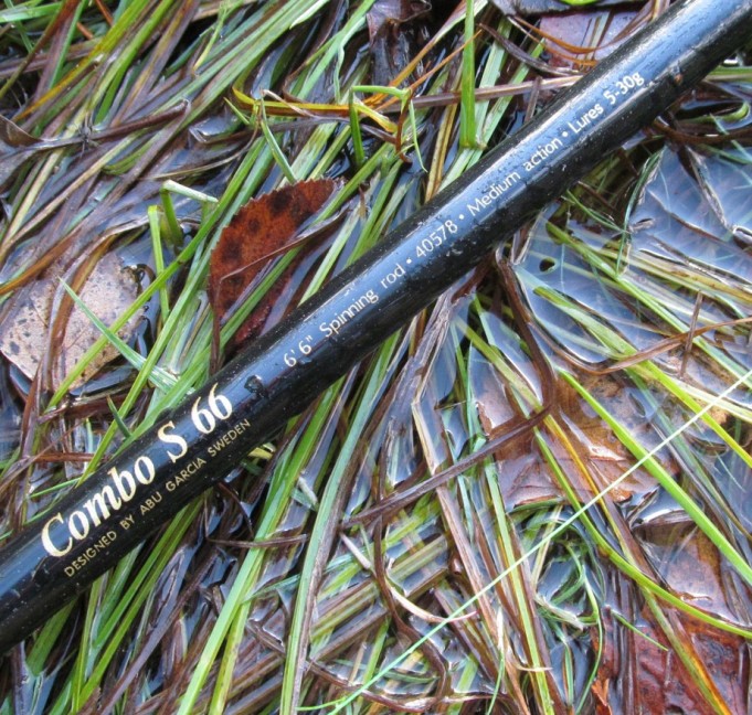 Cardinal 43....3.....jpg