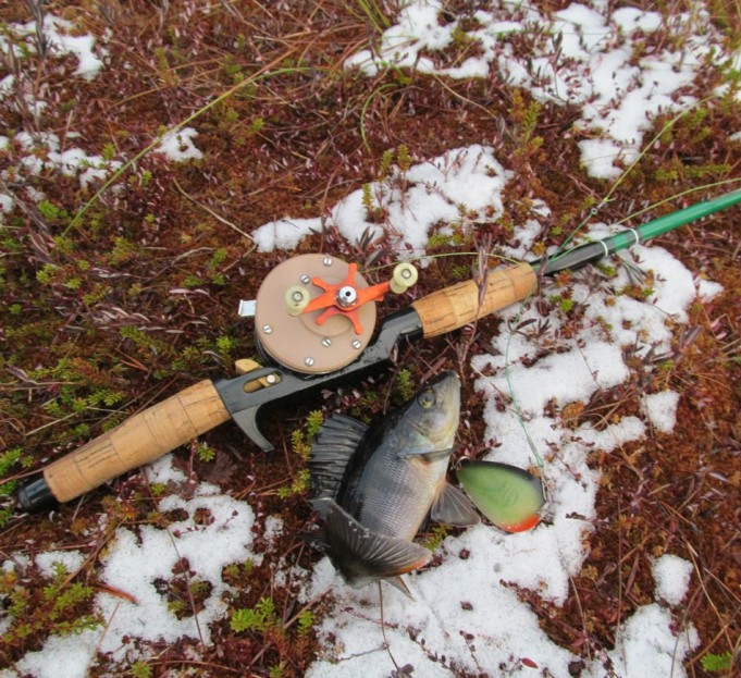 Parazoom ja 3000....1.....jpg