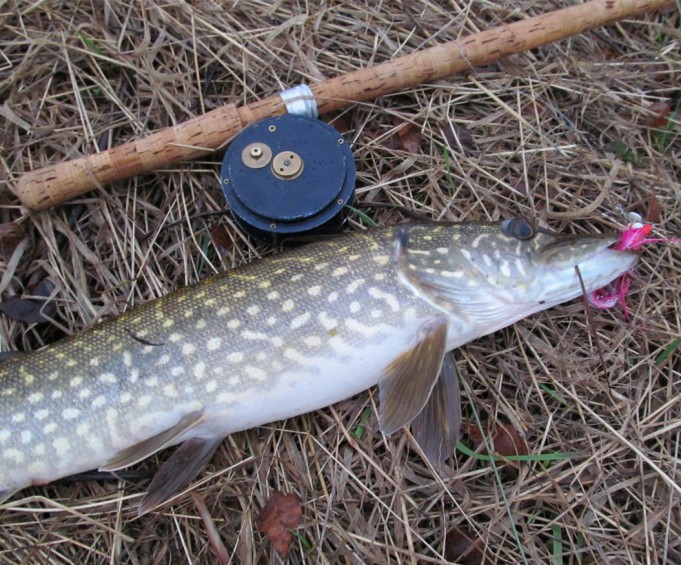 Boca ja BW,,,,2,,,,.jpg