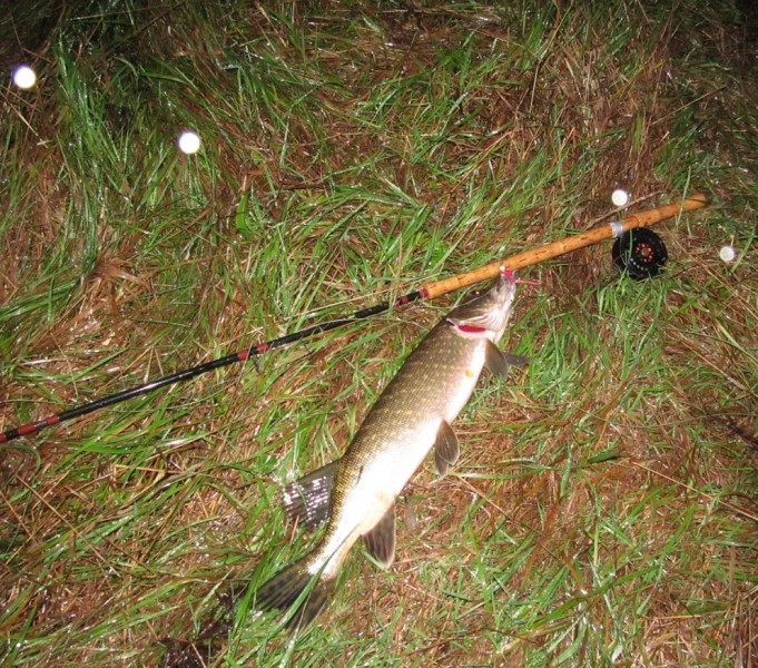 Boca ja BW,,,,6,,,,.jpg