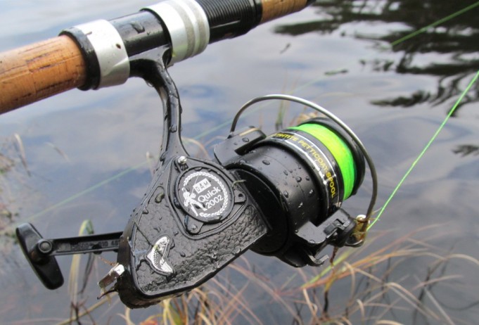 Dalton ....3.....jpg