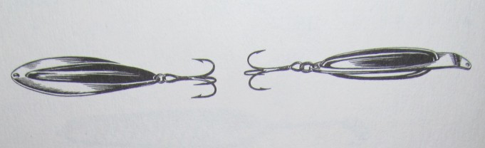 Kala -. Antti....1.....jpg