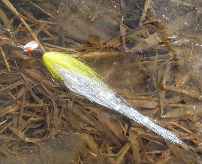 Orvis ja Orvis ....7.....jpg