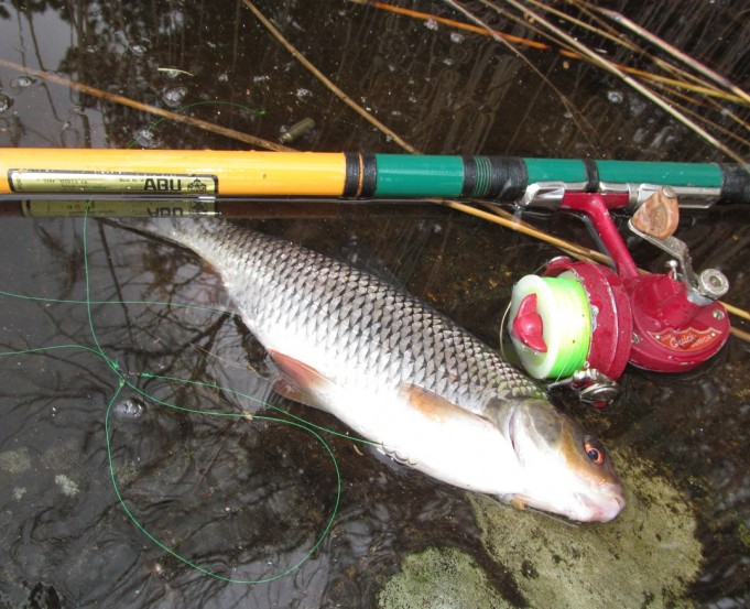 Dam ja ABU ----2----.jpg