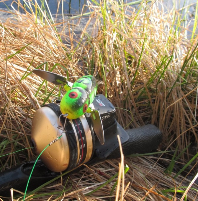 ABU 975 ....6.....jpg