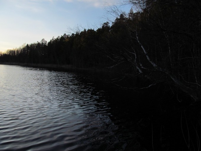 ABU 975 ....9.....jpg