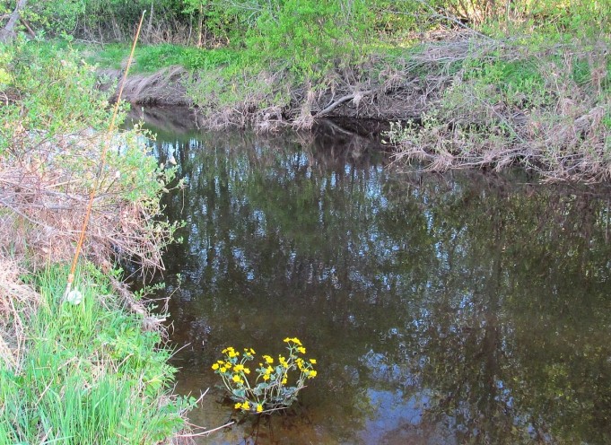 Record ja Junior ....0.....jpg