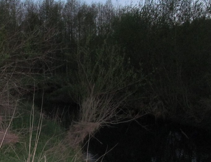 Record ja Junior ....6.....jpg