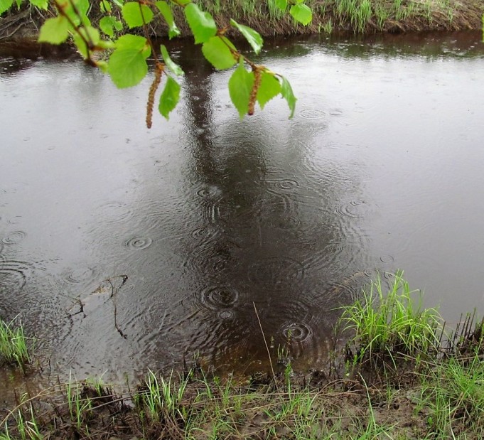 U - M 1 ----11---.jpg