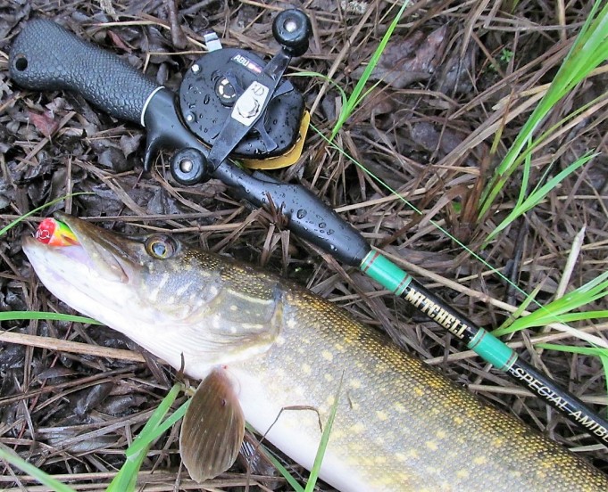 U - M 1 ----12---.jpg