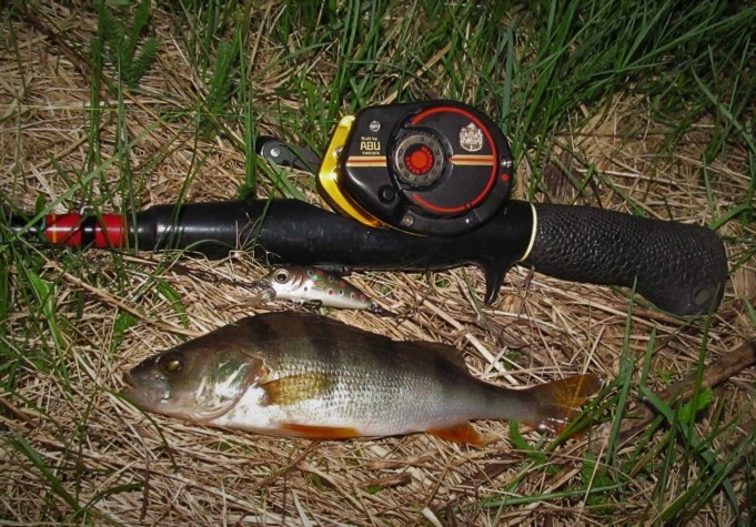 yö purolla....2.jpg