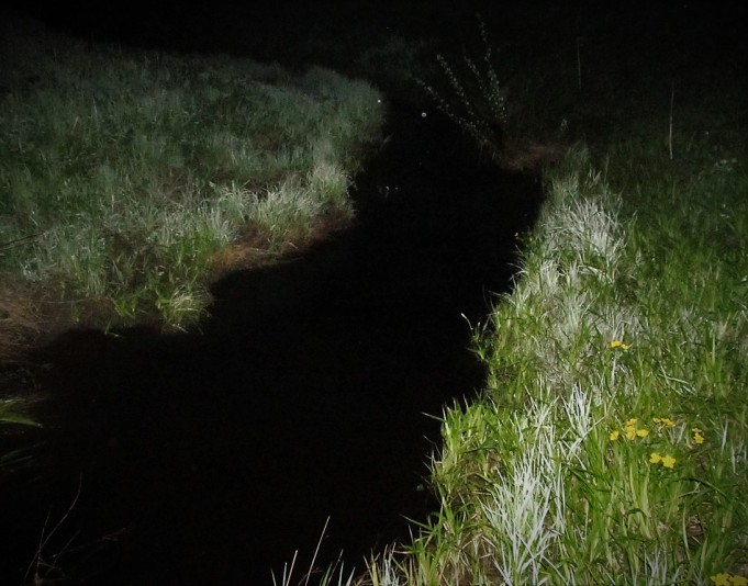 yö purolla....60.....jpg