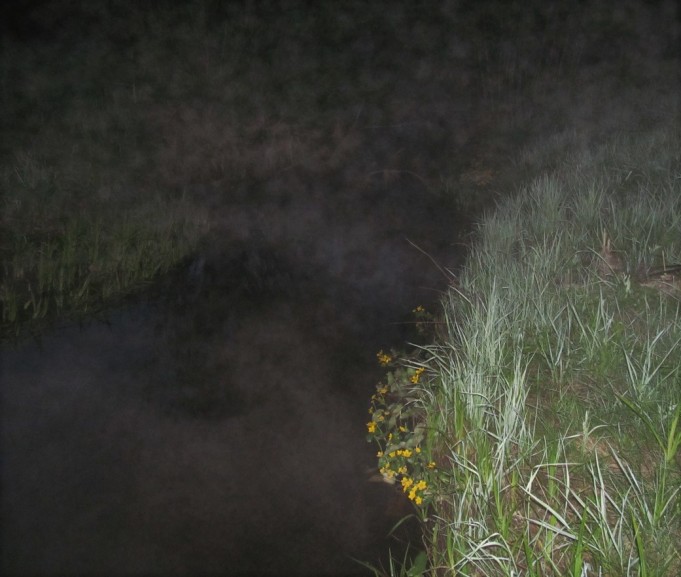 yö purolla....80.....jpg