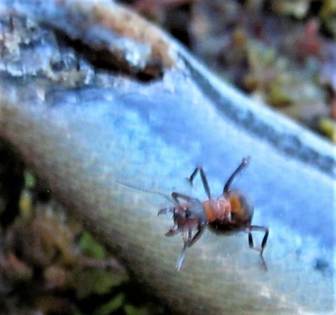 Lotto ja kopio ----4----.jpg