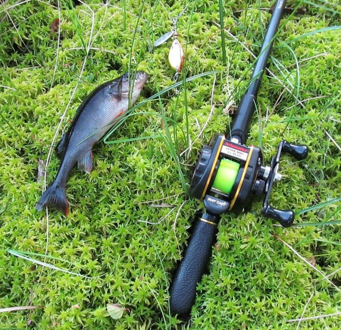 Lotto ja kopio ----8----.jpg