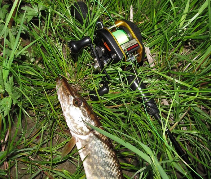 auringonlasku purolla ....0.....jpg