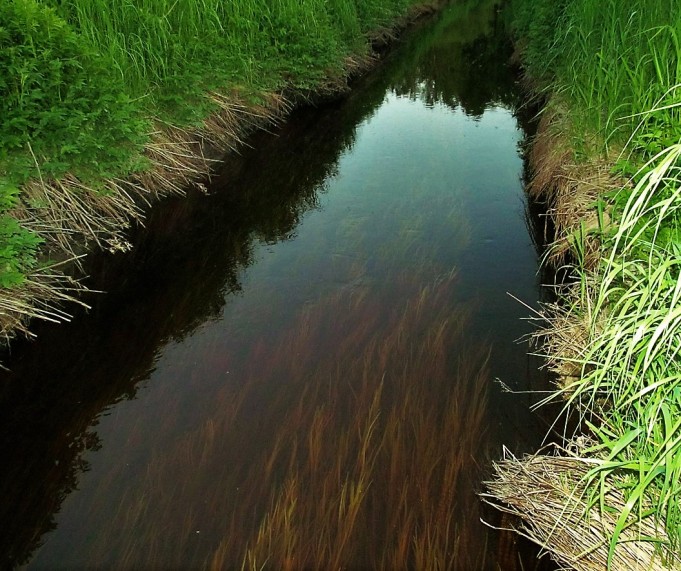 auringonlasku purolla ....3.....jpg