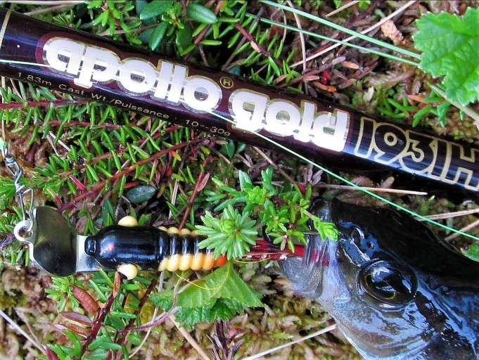 Apollo ....6.....jpg