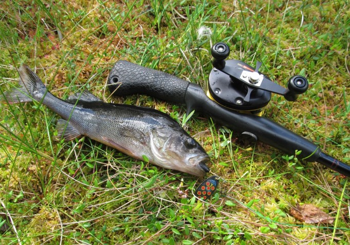 Mustaa .... 2.....jpg