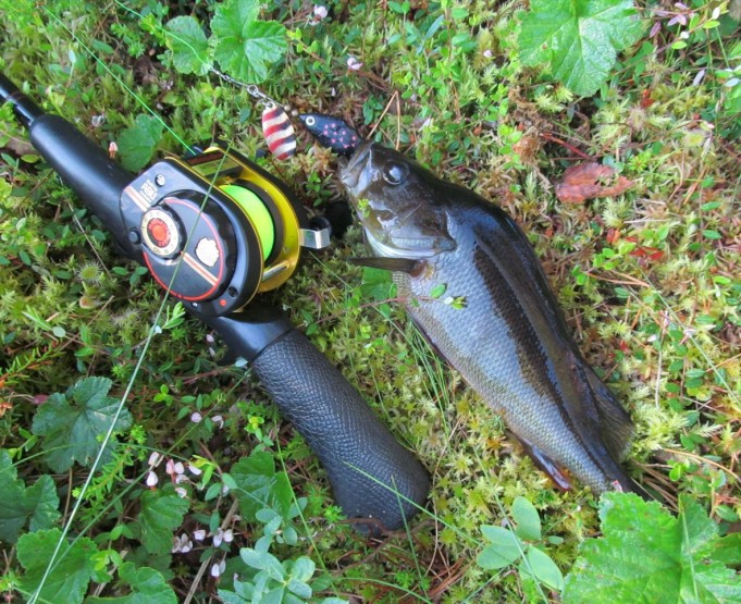 Mustaa .... 3.....jpg