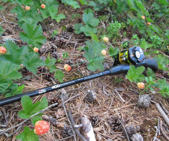 Mustaa .... 4.....jpg