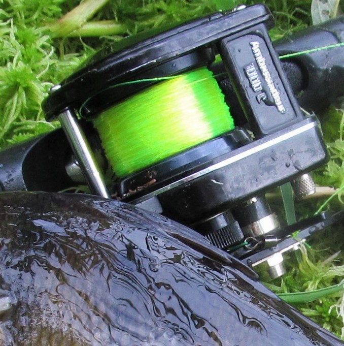 Minnari ....40.....jpg