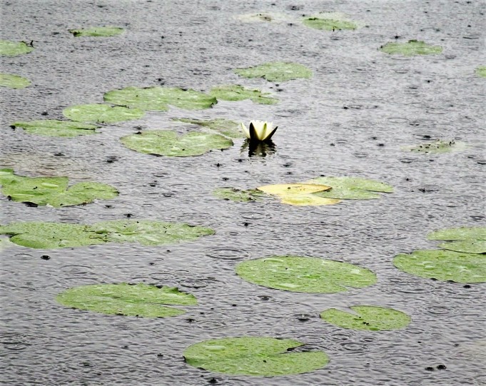 Vänkyräkoukku ....80.....jpg