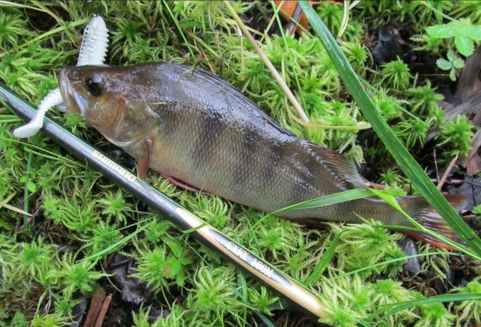 Vänkyräkoukku ....9.....jpg