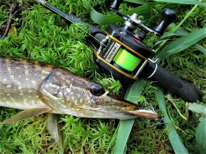 offset .... 10......jpg