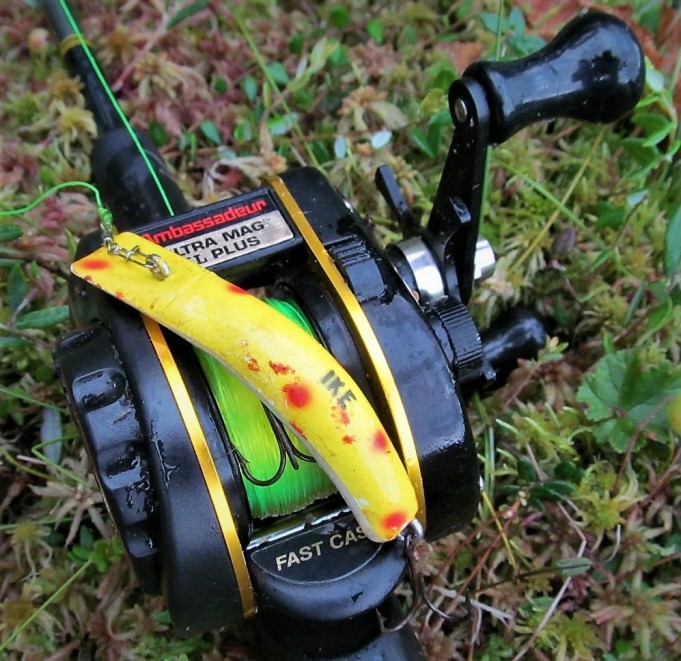 Sonic ---- 1000----.jpg