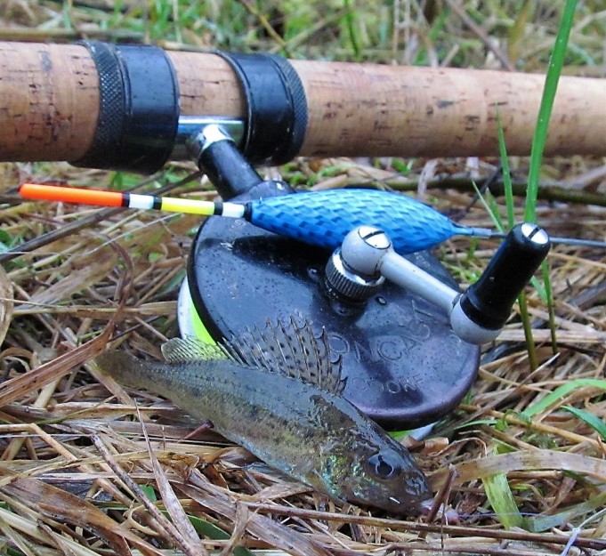 mustaa ---- 10 ----.jpg