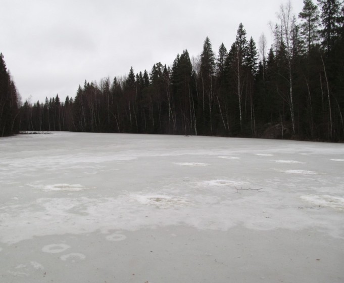 D lammella ---- 0 ----.jpg