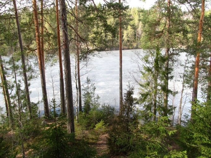 Harmaa mysteerivapa ---- 1 ----.jpg