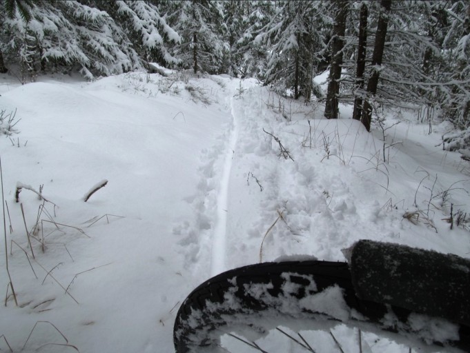 Lunta ---- 1 ----.jpg