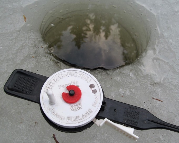 Mustilla ---- 8 ----.jpg