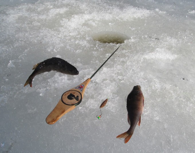 FIG ---- 2 ---- .jpg