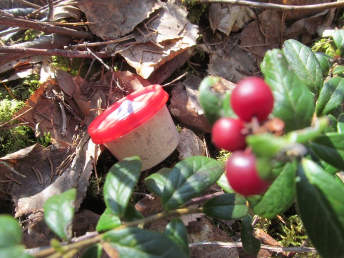 FIG ---- 4 ---- .jpg