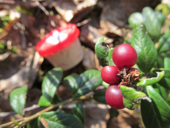 FIG ---- 6 ---- .jpg