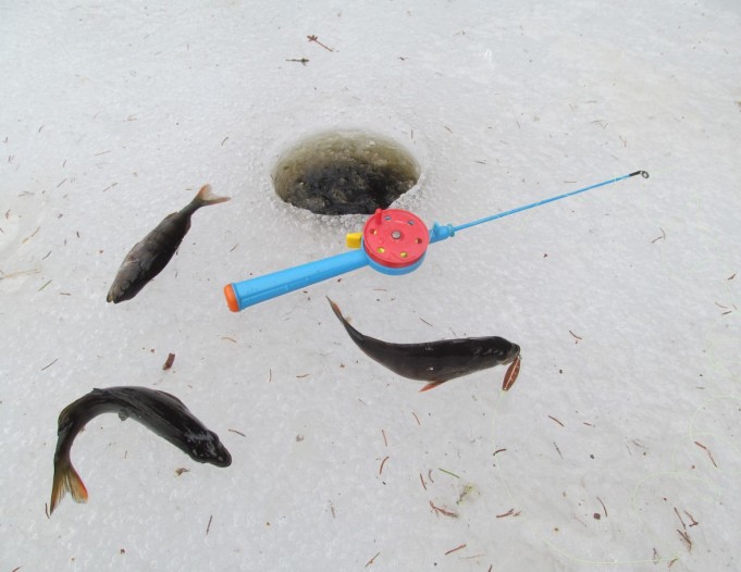 punaista ---- 6 ----.jpg