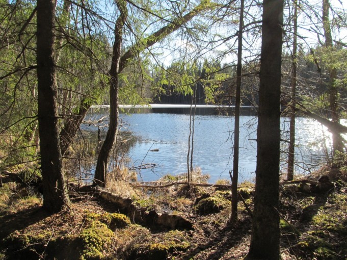 Keltainen D ---- 10 ----.jpg