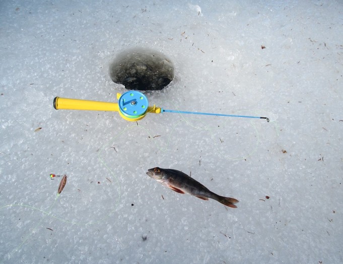 keltainen D ---- 11 ----  .jpg