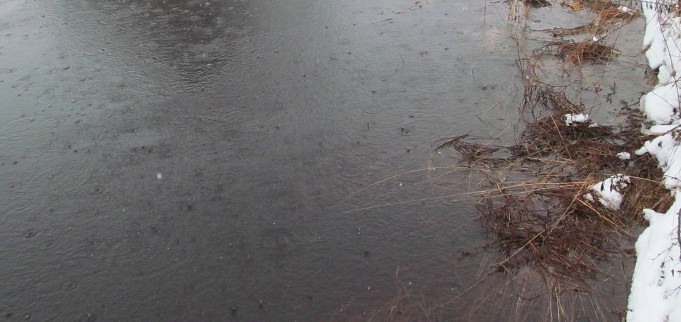 kimalletta ---- 6 ----.jpg