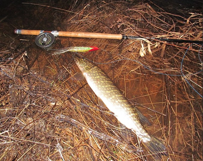 HLS Orvis .... 3 .....jpg