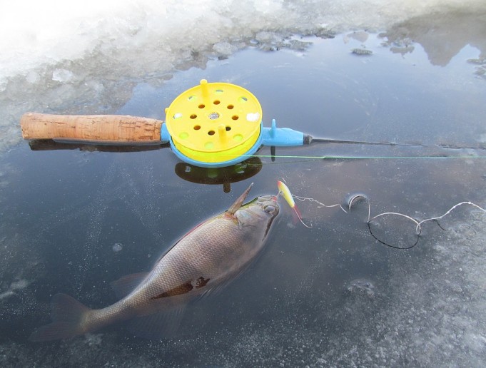 Avaus ---- 2 ----.jpg