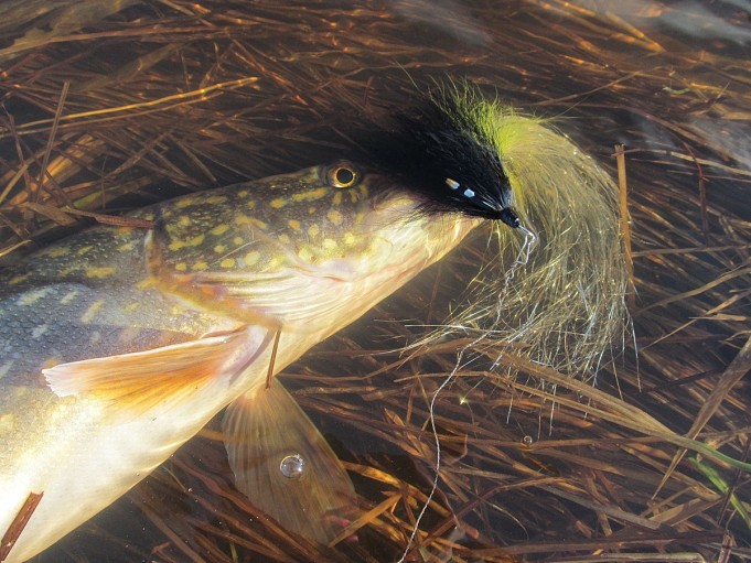 System Two ---- 3 ----.jpg