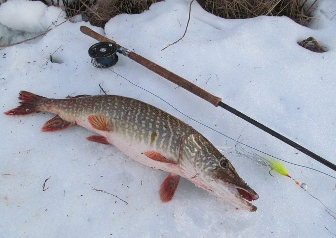 Spey Orvis ---- 1 ----.jpg