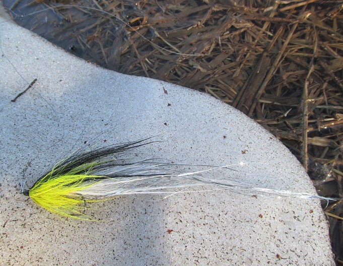 B ja W ---- 1 ----.jpg